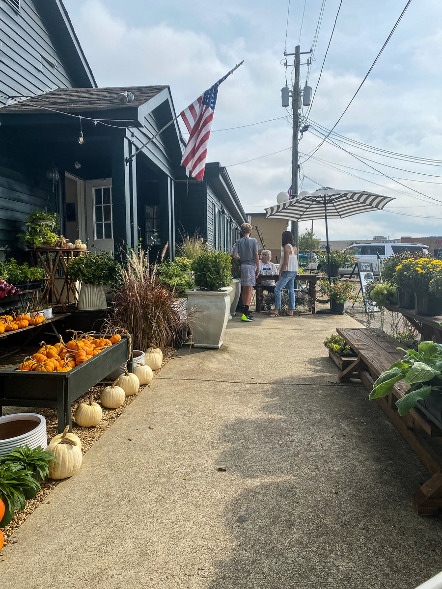 Rent The Curb Market & Curbyard Amari Curb Market